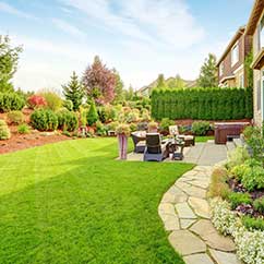 Backyard landscaping renovations